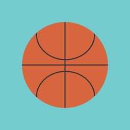 米兰体育官方网址入口-中国篮球职业联赛市场竞争环境与发展策略，中国竞技篮球的发展趋势